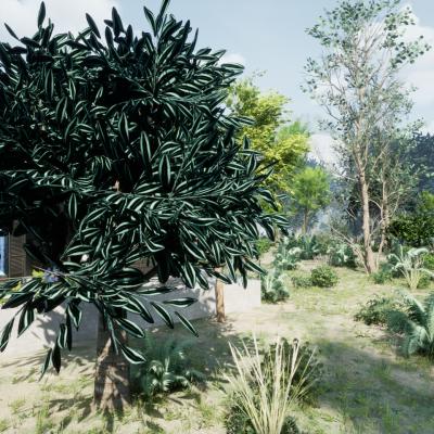 Tree4