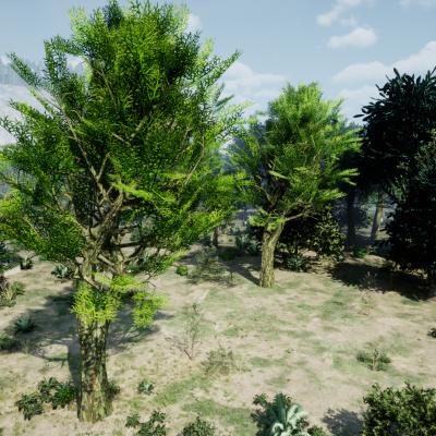 Tree5