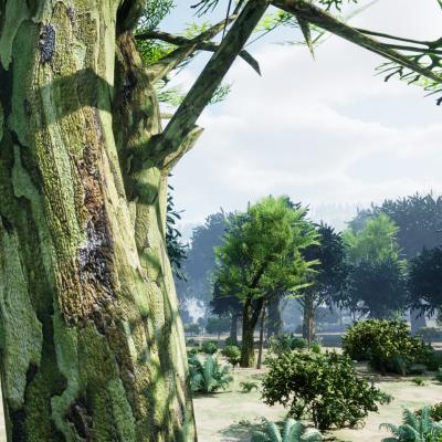 Tree6